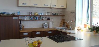 Holiday Apartment in Dubrovnik (Dubrovacko-Neretvanska) or holiday homes and vacation rentals