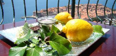 Holiday Apartment in Dubrovnik (Dubrovacko-Neretvanska) or holiday homes and vacation rentals