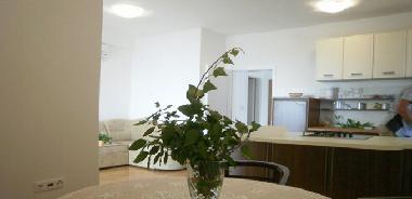 Holiday Apartment in Dubrovnik (Dubrovacko-Neretvanska) or holiday homes and vacation rentals
