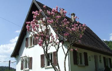 Holiday House in Sturzelbronn (Bas-Rhin) or holiday homes and vacation rentals