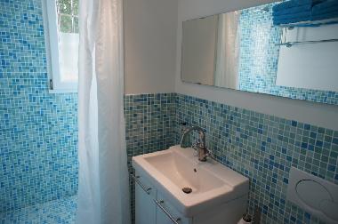 Villa in Le Thoronet (Var) or holiday homes and vacation rentals