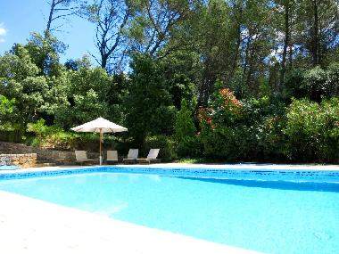 Villa in Lorgues (Var) or holiday homes and vacation rentals