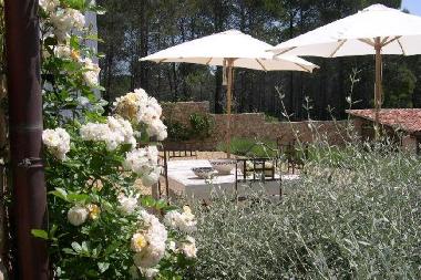 Villa in Draguignan (Var) or holiday homes and vacation rentals