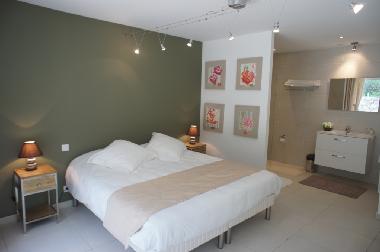 Villa in Lorgues (Var) or holiday homes and vacation rentals