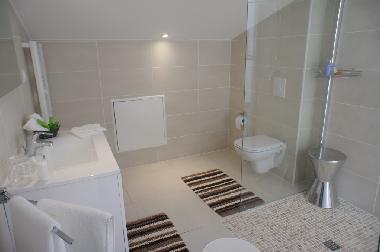 Villa in Lorgues (Var) or holiday homes and vacation rentals