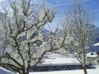 Holiday Apartment in Abtenau (Salzburg und Umgebung) or holiday homes and vacation rentals