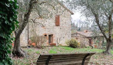 Bed and Breakfast in CETONA (Siena) or holiday homes and vacation rentals