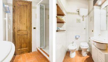 Bed and Breakfast in CETONA (Siena) or holiday homes and vacation rentals