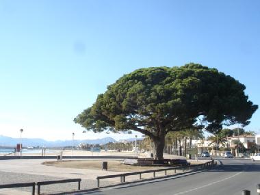 Holiday Apartment in CAMBRILS (Tarragona) or holiday homes and vacation rentals