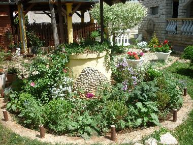 Holiday Apartment in Zadar (Zadarska) or holiday homes and vacation rentals