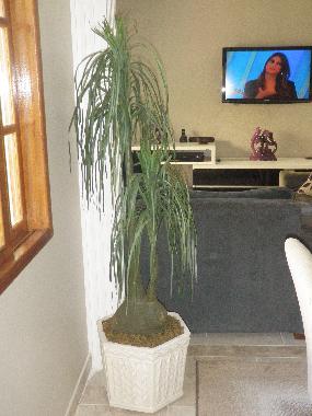 Holiday House in praia da bandeira (Rio de Janeiro) or holiday homes and vacation rentals