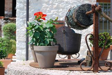 Holiday House in Romano d