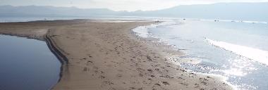 The sandy beach at the mouth