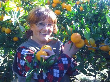 Picking a mandarin in October