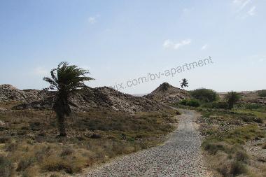 Typical Boa Vista road