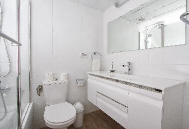 Full Bathroom - toilet & sink view