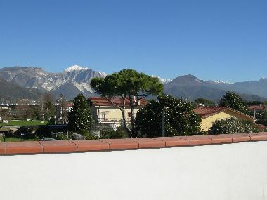 view from north terrace