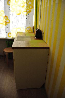 Holiday Apartment in Saint Petersburg (Sankt-Peterburg) or holiday homes and vacation rentals
