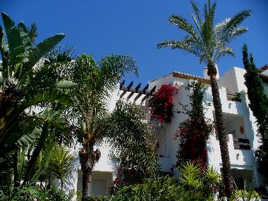 Holiday Apartment in Canselada (Mlaga) or holiday homes and vacation rentals