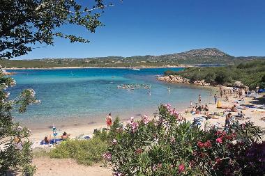 Holiday House in Porto Cervo (Olbia-Tempio) or holiday homes and vacation rentals