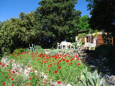 Holiday Apartment in Montecatini Val di Cecina (Pisa) or holiday homes and vacation rentals