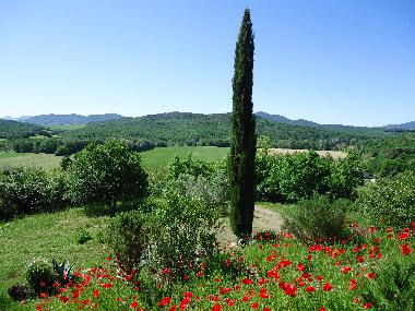Holiday Apartment in Montecatini Val di Cecina (Pisa) or holiday homes and vacation rentals