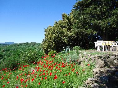 Holiday Apartment in Montecatini Val di Cecina (Pisa) or holiday homes and vacation rentals