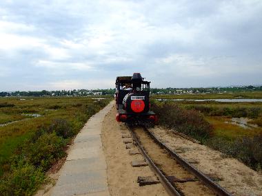 Holiday House in Luz de Tavira (Algarve) or holiday homes and vacation rentals
