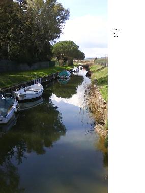 Holiday Apartment in Follonica (Grosseto) or holiday homes and vacation rentals
