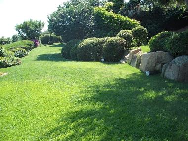 Villa in Porto Cervo (Olbia-Tempio) or holiday homes and vacation rentals