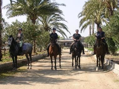 Holiday House in Arcos de la Frontera (Cdiz) or holiday homes and vacation rentals