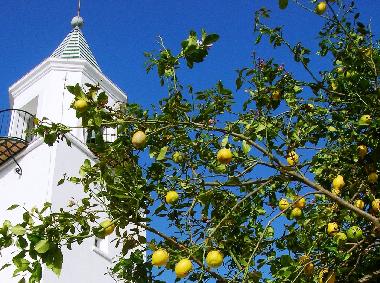 Holiday House in Arcos de la Frontera (Cdiz) or holiday homes and vacation rentals