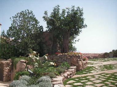 Villa in Porto Cervo (Olbia-Tempio) or holiday homes and vacation rentals