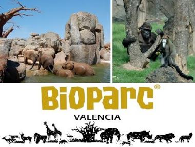 Holiday Apartment in port saplaya (Valencia / Val�ncia) or holiday homes and vacation rentals