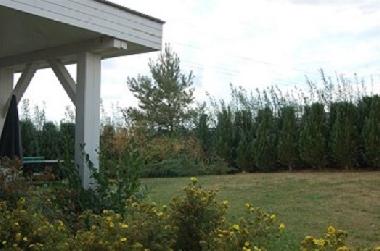 Holiday House in Perniek bei Wismar (Mecklenburgische Ostseekste) or holiday homes and vacation rentals