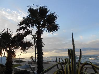 The promenad along the sea just close from the flat