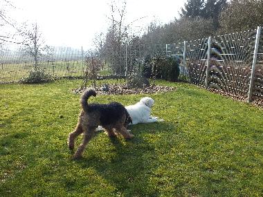 Holiday Apartment in Wanna (Nordsee-Festland / Ostfriesland) or holiday homes and vacation rentals