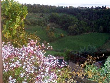 Holiday Apartment in MONTESCUDAIO (Pisa) or holiday homes and vacation rentals