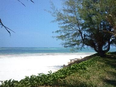 Holiday House in Diani Beach (Coast) or holiday homes and vacation rentals