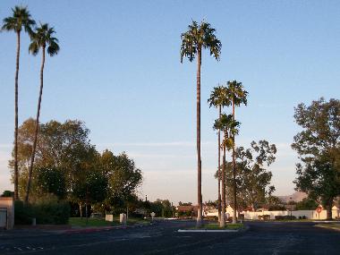Holiday House in Mesa (Arizona) or holiday homes and vacation rentals