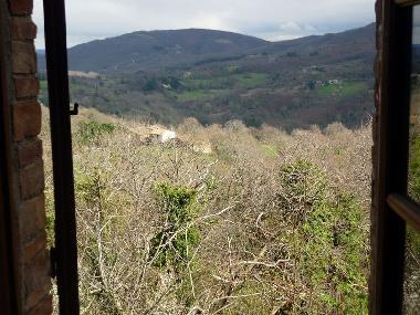 Chalet in Travale (Grosseto) or holiday homes and vacation rentals