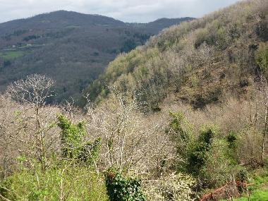 Chalet in Travale (Grosseto) or holiday homes and vacation rentals