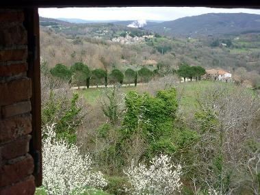 Chalet in Travale (Grosseto) or holiday homes and vacation rentals