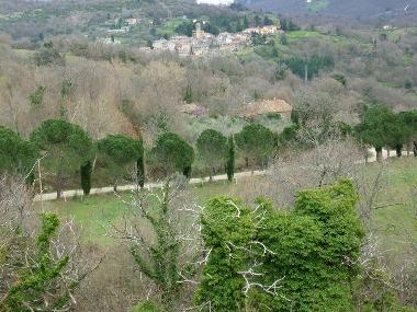 Chalet in Travale (Grosseto) or holiday homes and vacation rentals