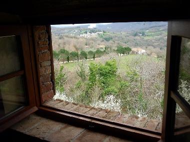 Chalet in Travale (Grosseto) or holiday homes and vacation rentals