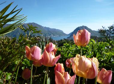 Holiday Apartment in Porza (Lugano) or holiday homes and vacation rentals