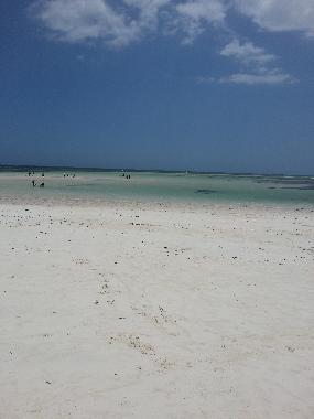 Bed and Breakfast in Watamu (Coast) or holiday homes and vacation rentals