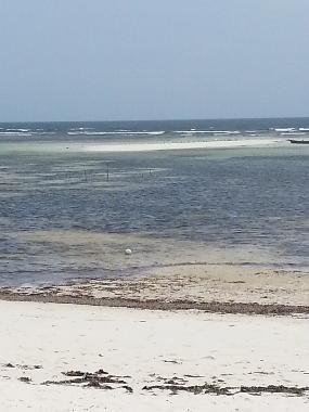 Bed and Breakfast in Watamu (Coast) or holiday homes and vacation rentals
