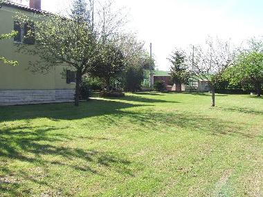 Villa in Polverigi (Ancona) or holiday homes and vacation rentals