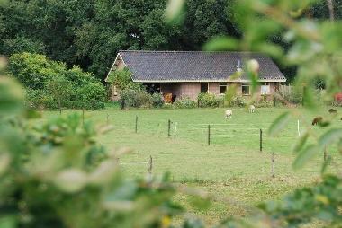 Holiday House in Slagharen (Overijssel) or holiday homes and vacation rentals